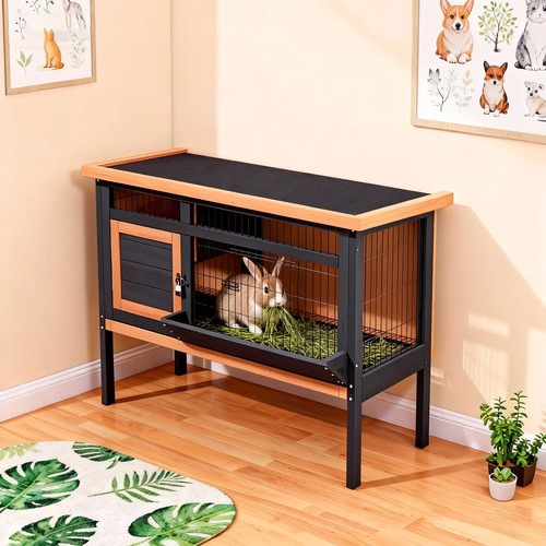 Wooden rabbit hutch with open - rabbit,